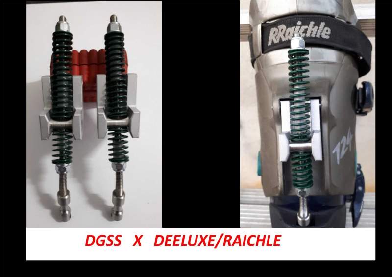 DGSS DEELUXE.RAICHLE - Copia.jpg