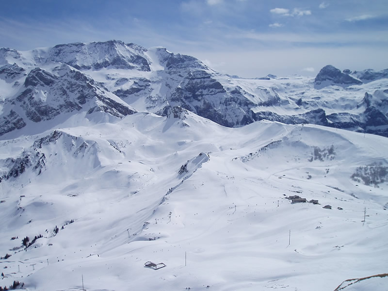 schnee2.jpg