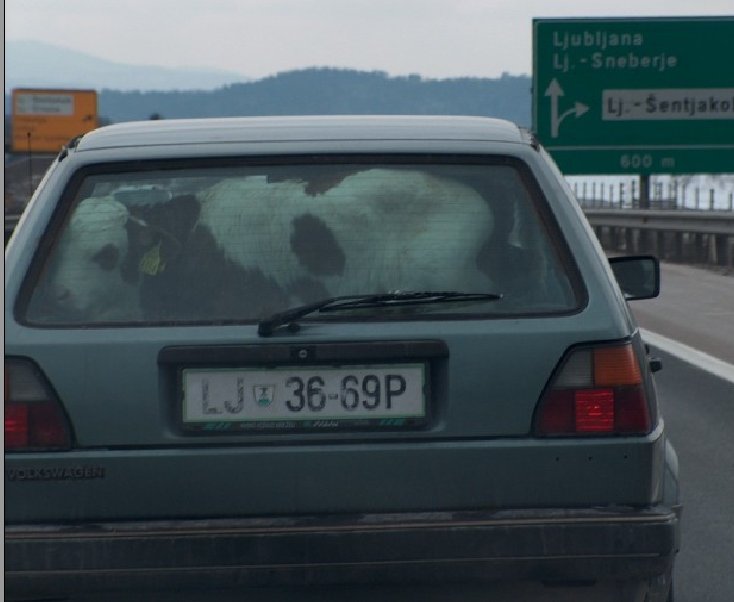 Image3.jpg