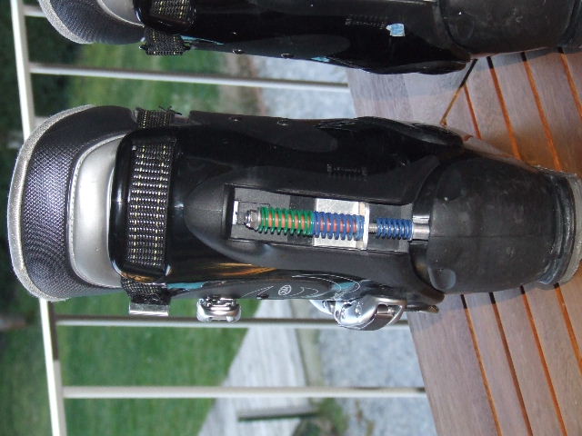 2008_0224head0011.JPG