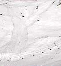 higher-and-steeper-then-Zinal.jpg