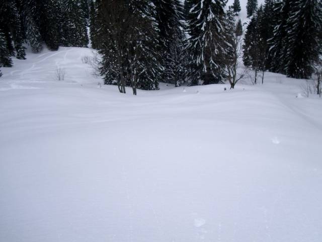 Last-run-today-4-45-pm-on-1200-over-seelevel.jpg