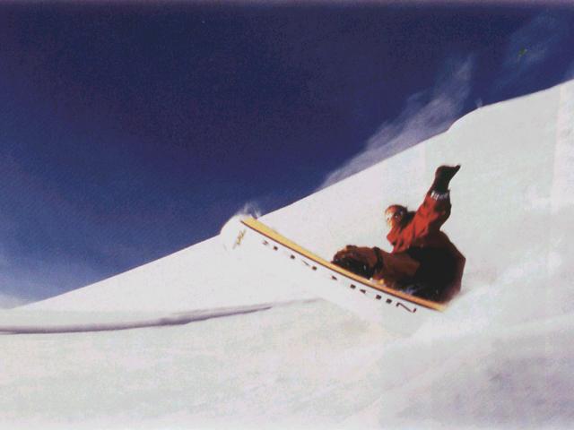 Nidecker-Concept.jpg