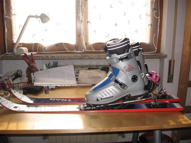IMG_4834 (Large) (Small).JPG