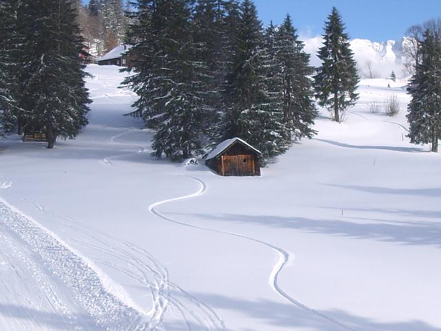 Sunday-snow-2.jpg