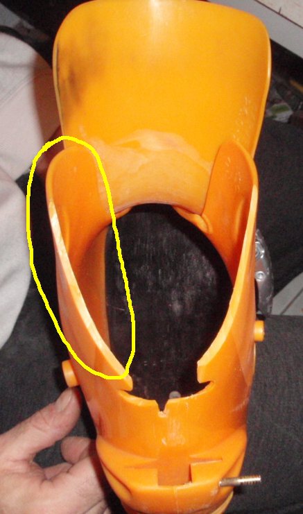 head-cut1.jpg