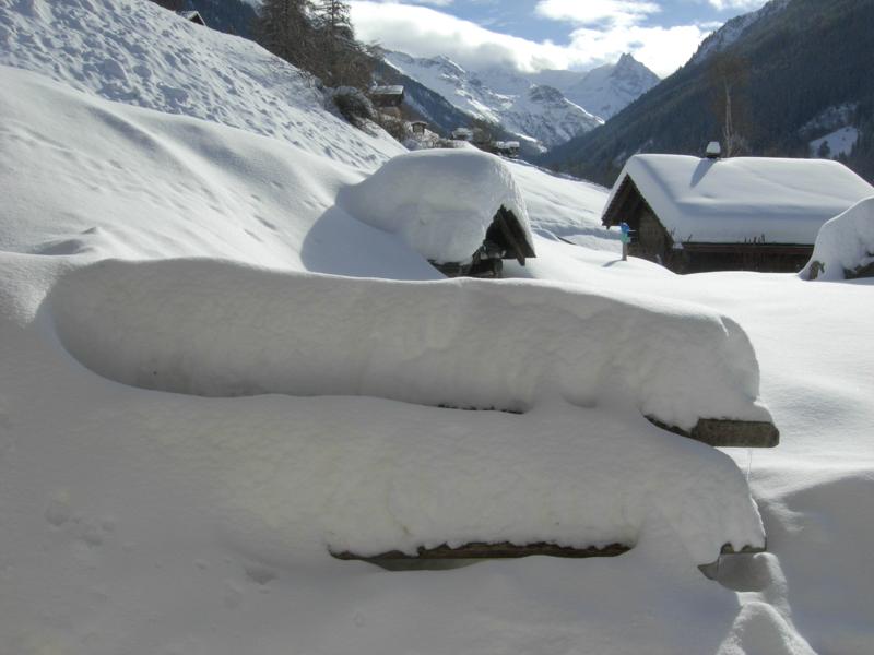 last_snow_fall.jpg