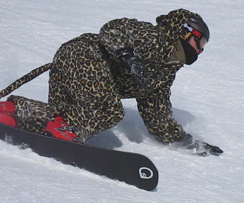 MVI_2613b.jpgr.jpg
