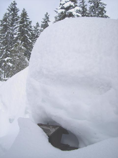 Danger-Snow-for-Birdhouse.jpg
