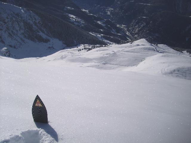 Powder-fields.jpg