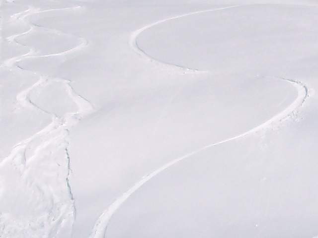 Tracks.jpg