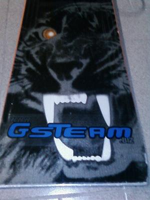 GSTeam.jpg
