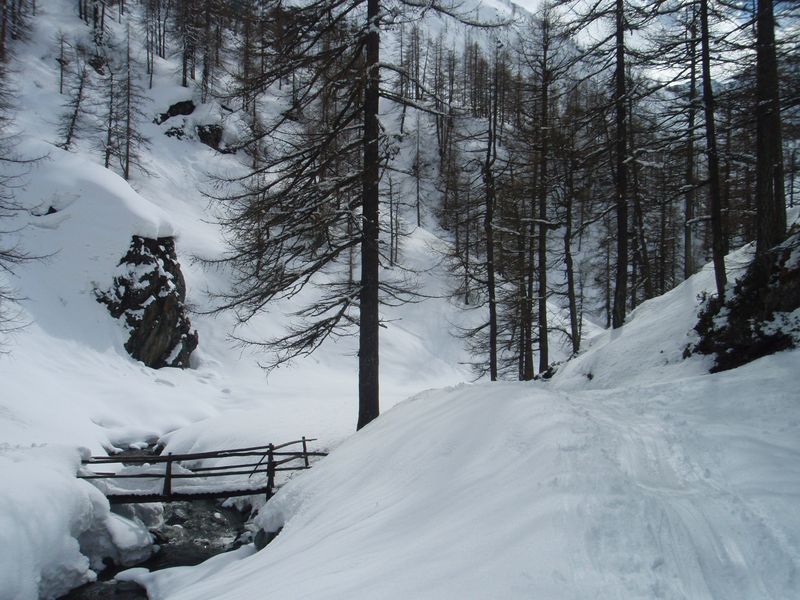 24-gressoney.JPG