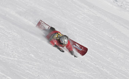 dsc_7631_std --.jpg