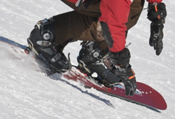 dsc_7630_std--.jpg