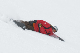 dsc_0019_std --.jpg