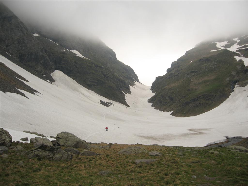 IMG_5936 (Large).JPG