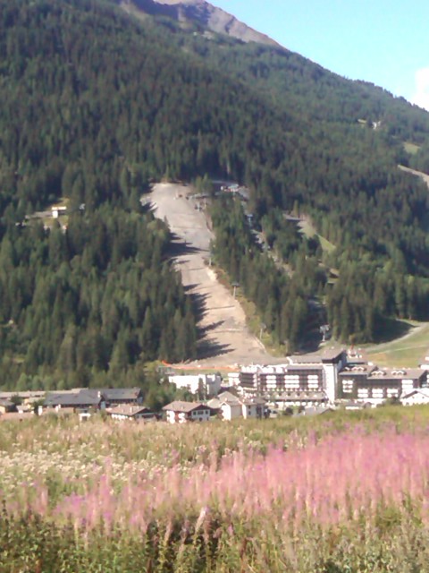 IMG00042-20090829-1033.jpg