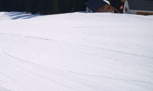 Smooth-Cut.jpg