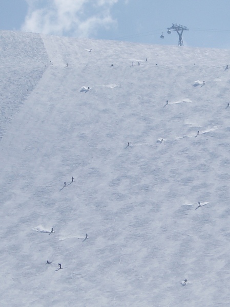 Slden2009298.jpg
