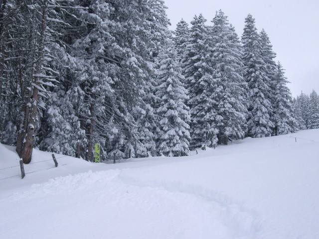 Sunday-afternoon-fun-on-1550-meters.jpg
