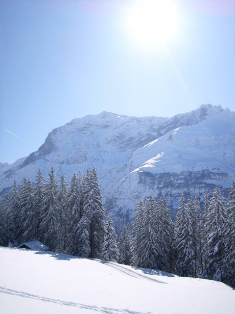 Today-hiking-up.jpg