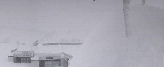 Piau.JPG