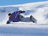photo_home_10.jpg