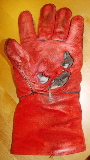 DSC03620.jpg