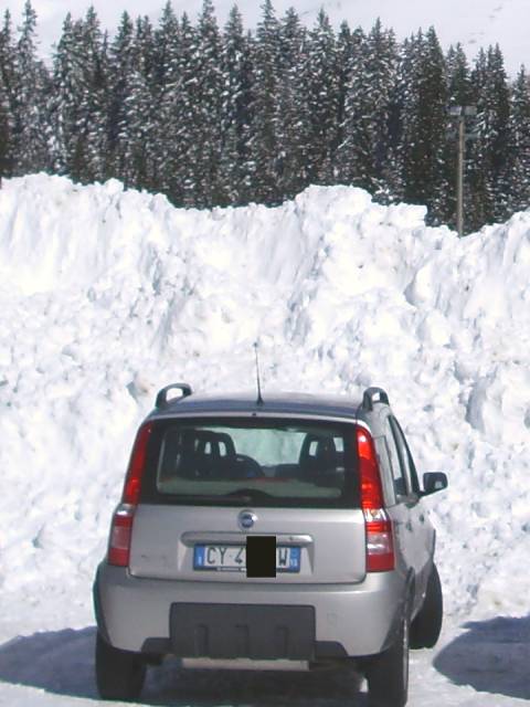The-passion-for-snow.jpg