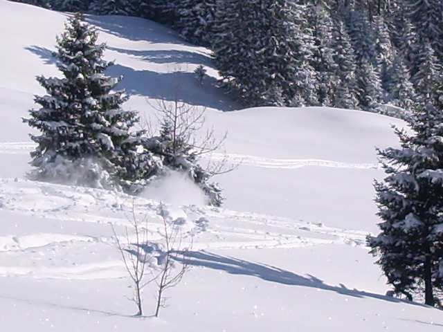 White-dust.jpg