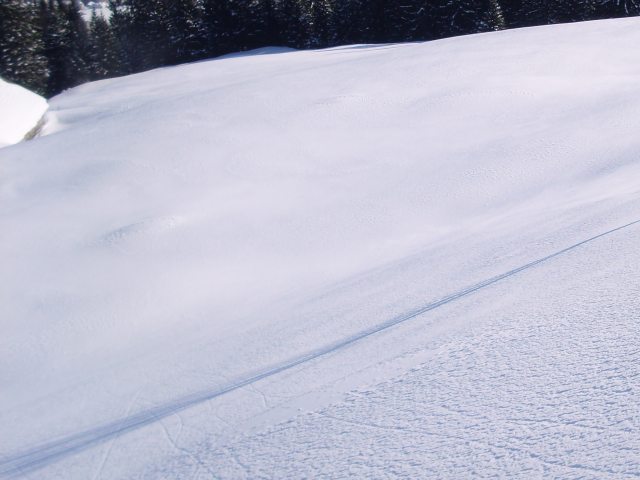 Today-last-run-powderfield.jpg