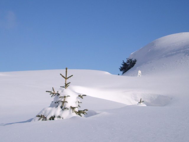 Today-4-pm-top-of-resort.jpg