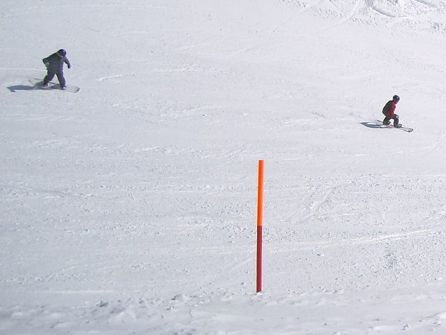 Halbstarker-Raceboarder.jpg