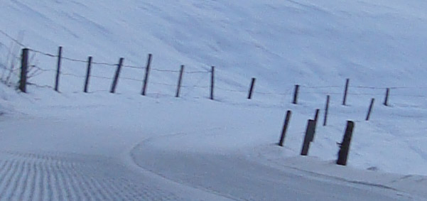 Authentischer Schweizer Maschendraht- ähm Stacheldrahtzaun.jpg