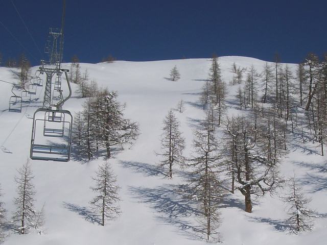 Powder-Paradise.jpg