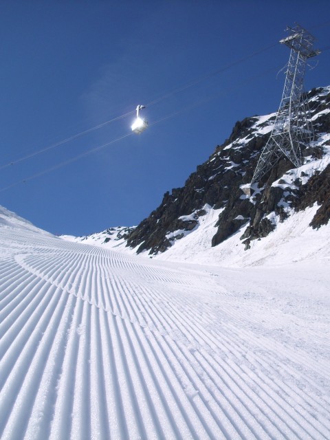 Carving-Paradise.jpg