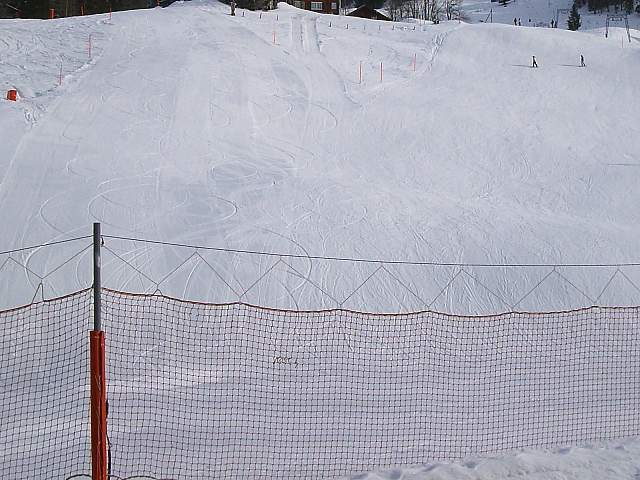 Mono-Carving-Session-Piste.jpg