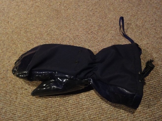 Velvet.pro gloves 1.jpg
