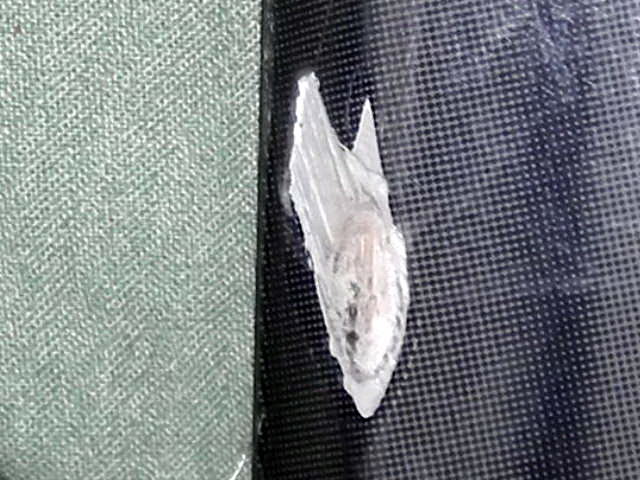 RSCN14530001.JPG