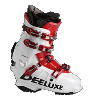 deeluxe 2008.gif