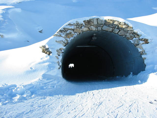tunnel.jpg