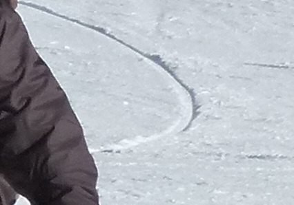 small_carving_big_trace_zoom.jpg