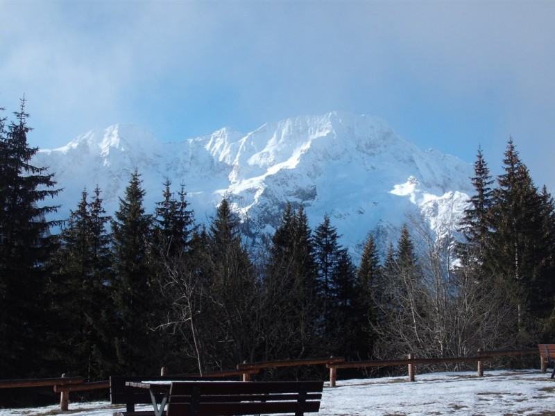 DSCF0649.jpg