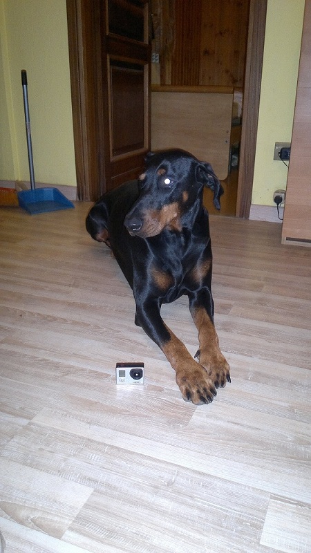 2012-11-19-421.jpg